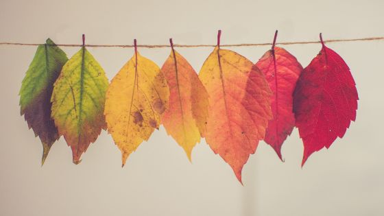 Imagen de Otoño en Bizkaia. Planes para disfrutar en familia